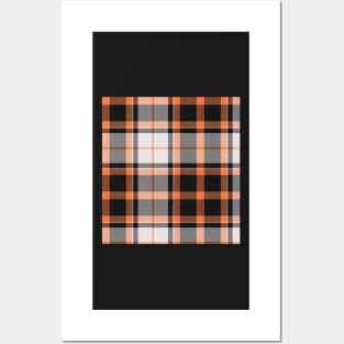 WW tartan Posters and Art